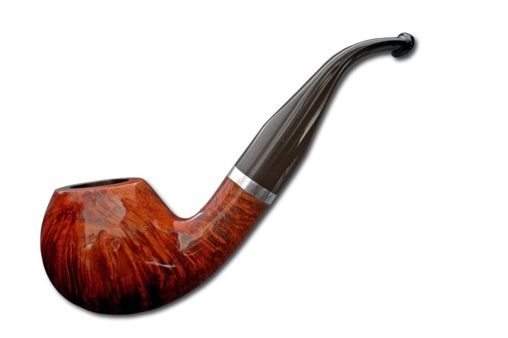 Barasso Bicolor (C1438)